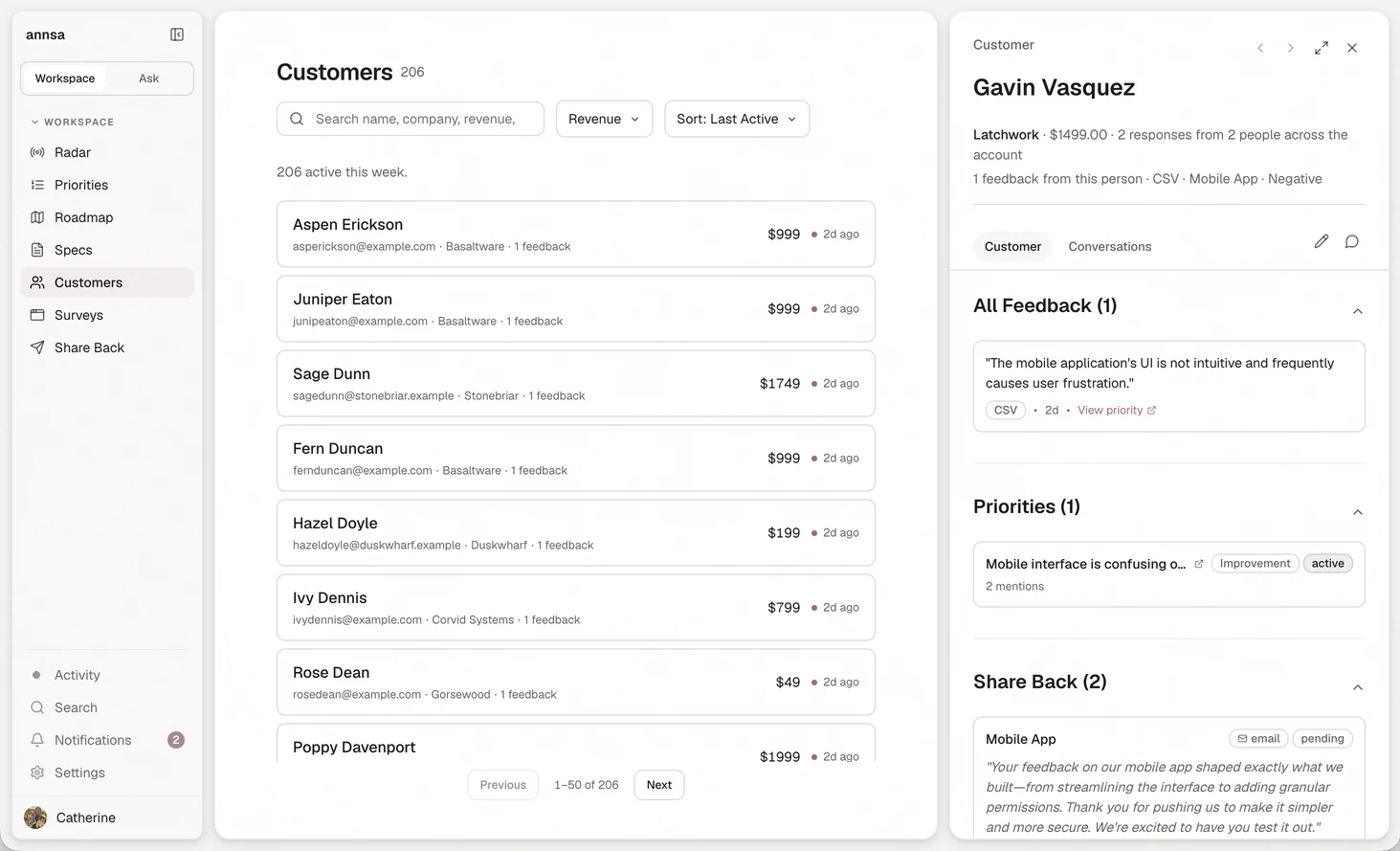 Annsa's customer table: 206 customers with revenue, feedback count and last activity.